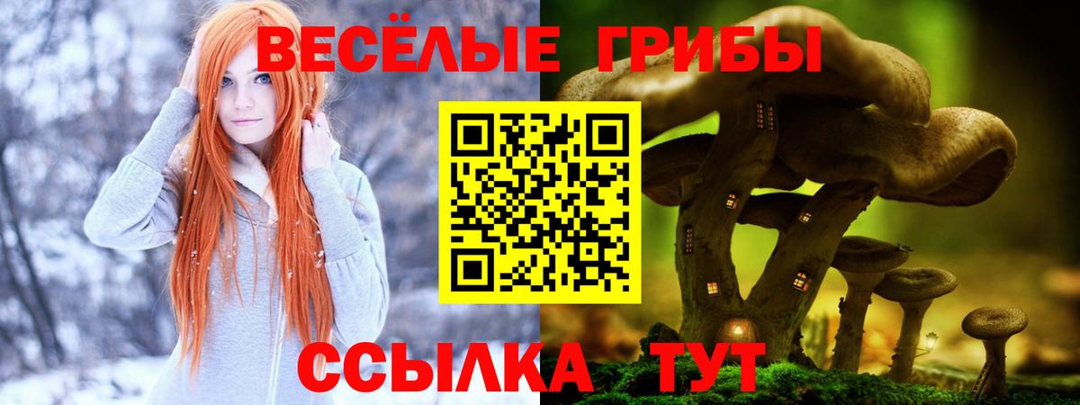 COCAIN  Гашиш  Бошки Шишки  Волхов  МЕФ   Вход с VPN  МДМА 
