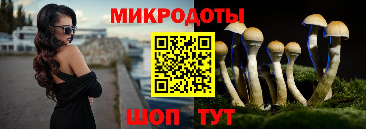 Псилоцибиновые грибы Psilocybine cubensis  Псилоцибиновые грибы Psilocybine cubensis  Вход с VPN  Волхов 