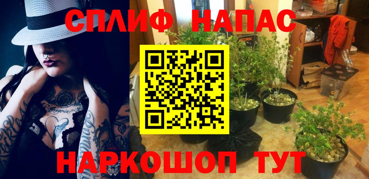 Бошки марихуана индика  МАРИХУАНА марихуана  Бошки Шишки LSD WEED  Вход с VPN  Волхов  Марихуана планчик 